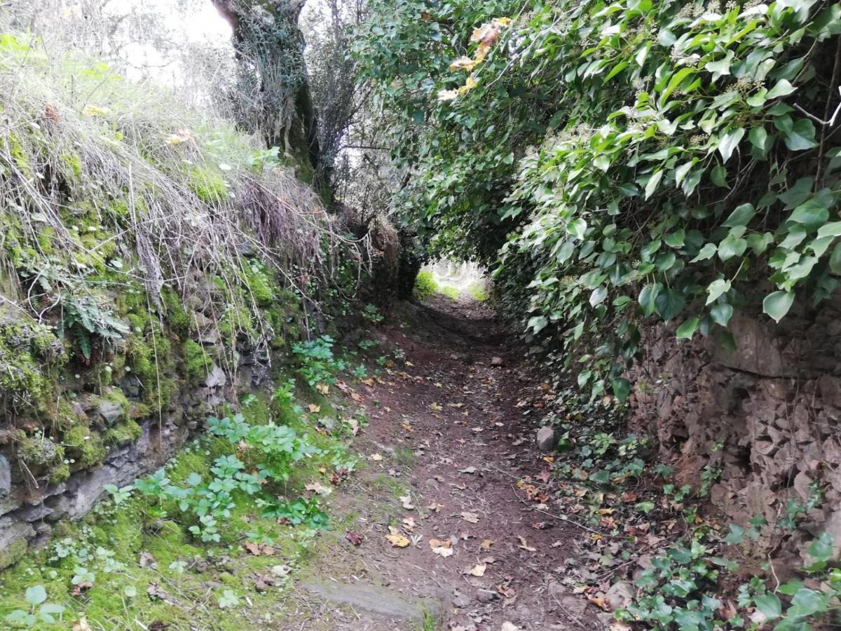 Fuentes de León La Era De San Blas מראה חיצוני תמונה